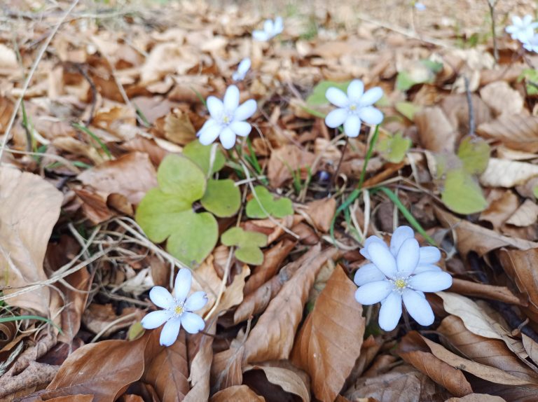 Mehr über den Artikel erfahren Karfreitag und Ostern