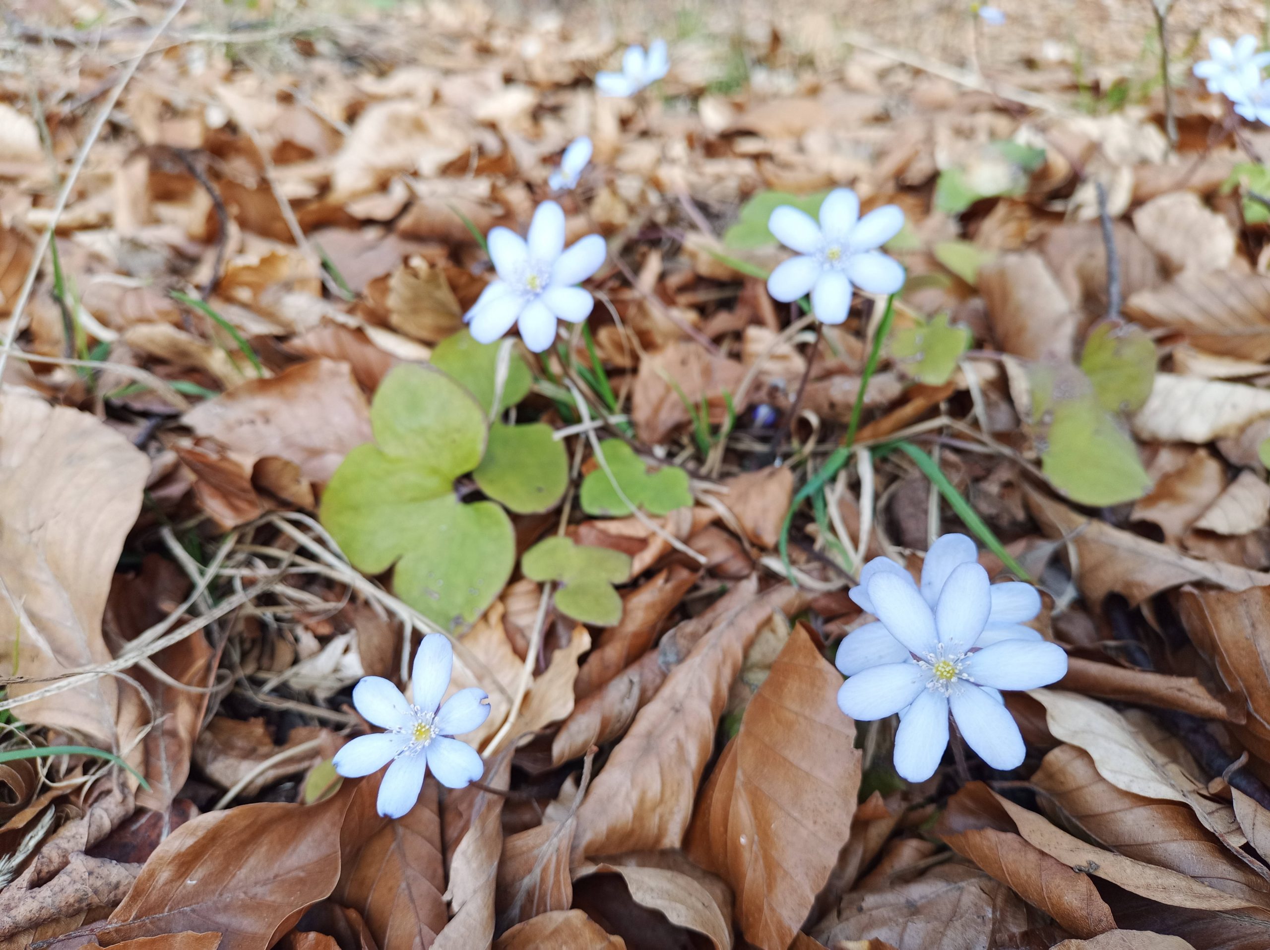 Du betrachtest gerade Karfreitag und Ostern